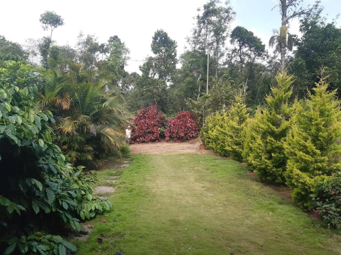 Athena Homestay Somvārpet Екстериор снимка