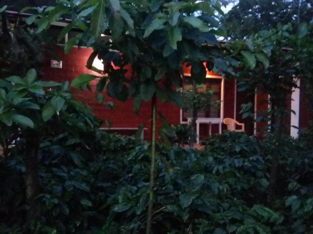 Athena Homestay Somvārpet Екстериор снимка
