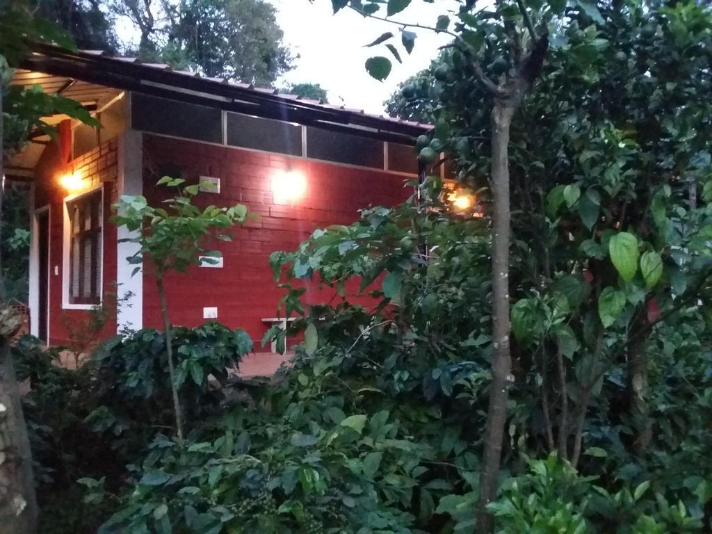 Athena Homestay Somvārpet Екстериор снимка
