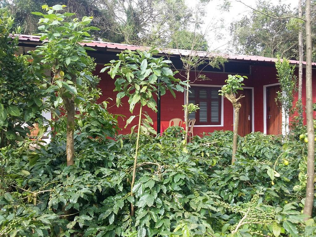 Athena Homestay Somvārpet Екстериор снимка